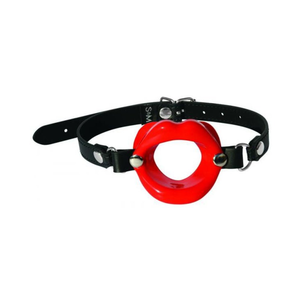 Sex & Mischief Mouth Gag | SexToy.com